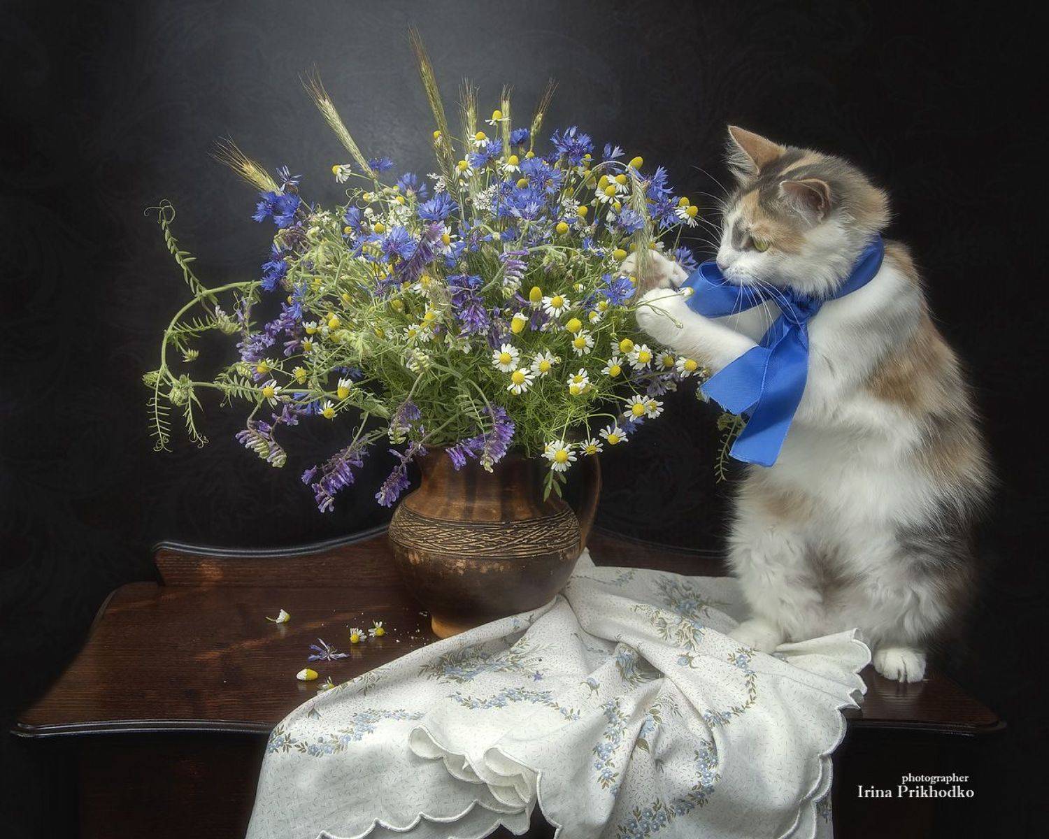 котонатюрморт, домашние животные, кошка, букет, полевые цветы, Приходько Ирина