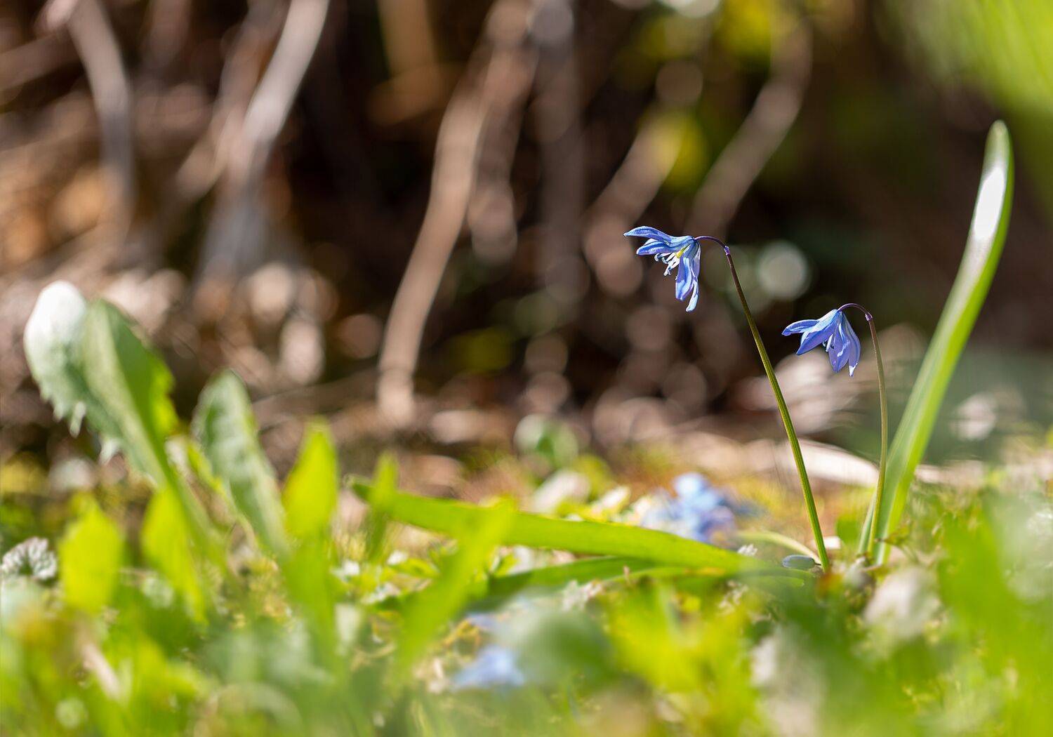 , Зеленько Дмитрий