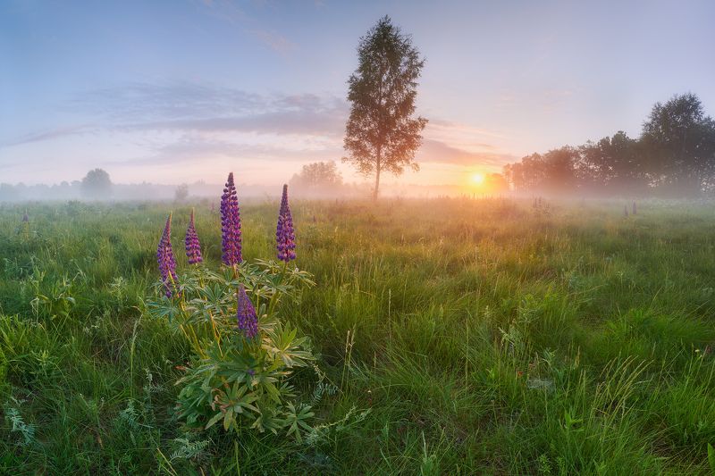 Родные просторы фото превью