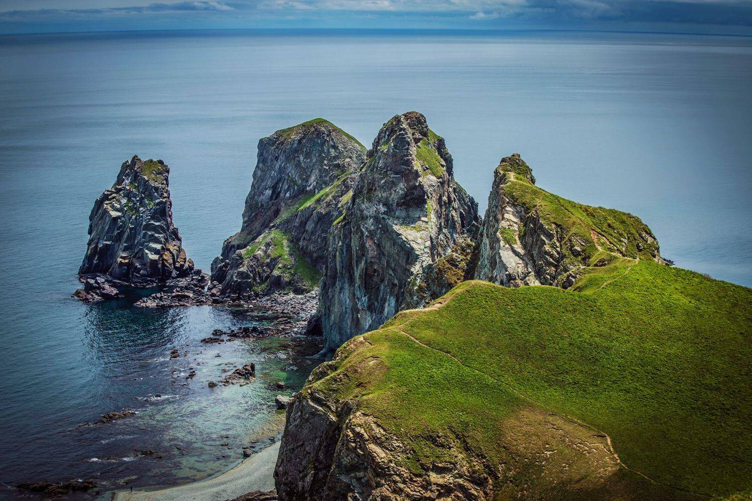 , Сигида Дмитрий