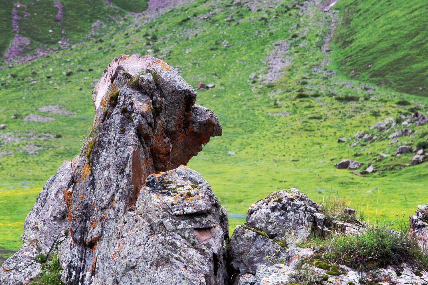 кыргызстан,горы, кель-тор, Элина Магалимова