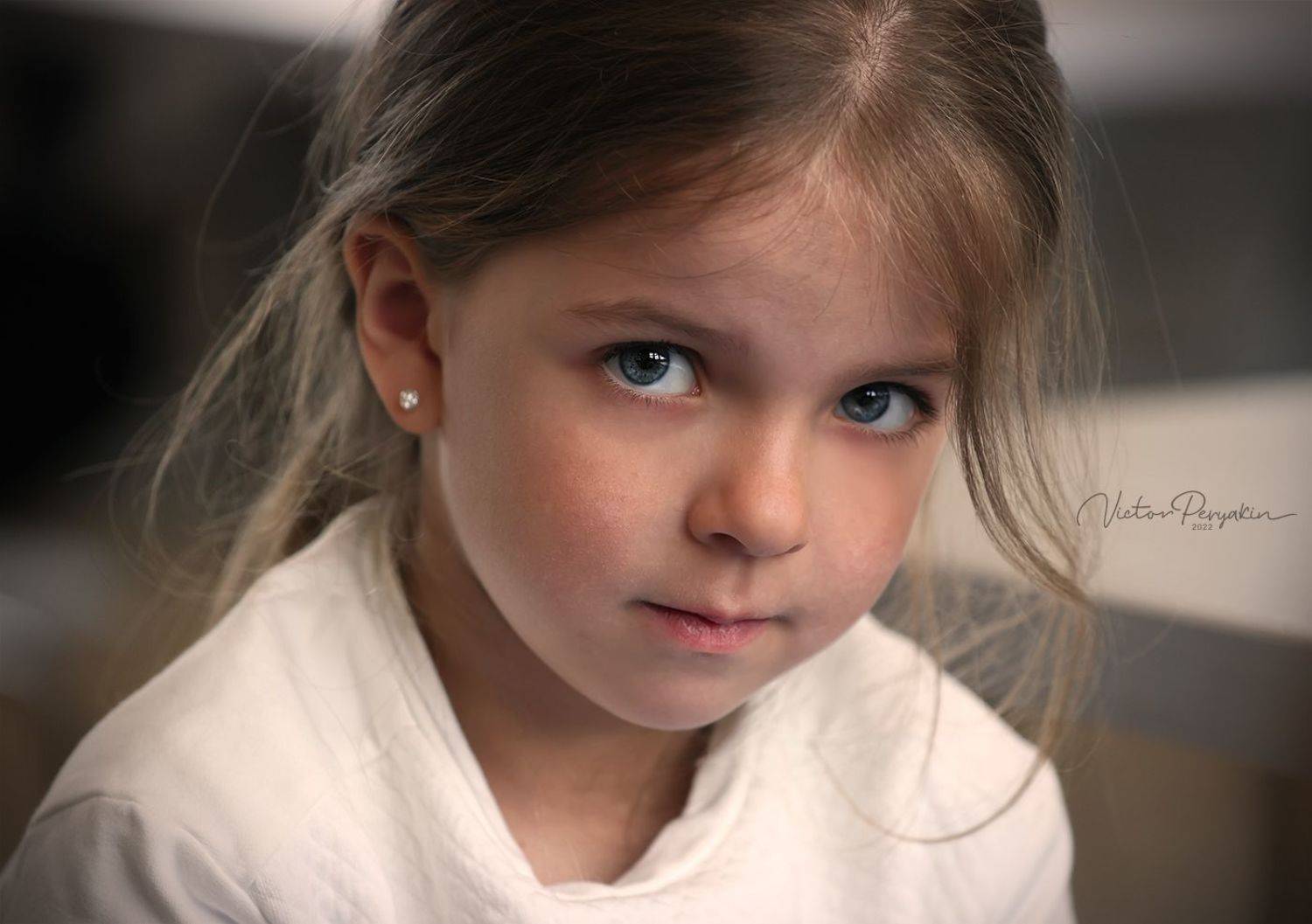 , Виктор Перякин