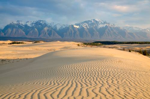 куда приводит пустыня