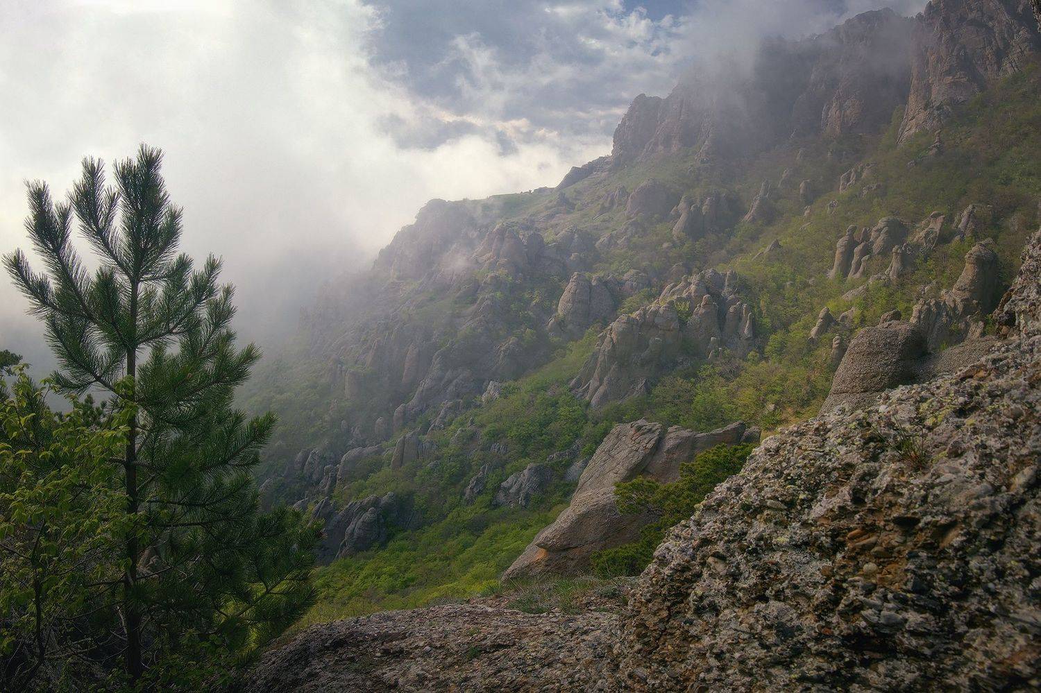 , Алексей Никонов