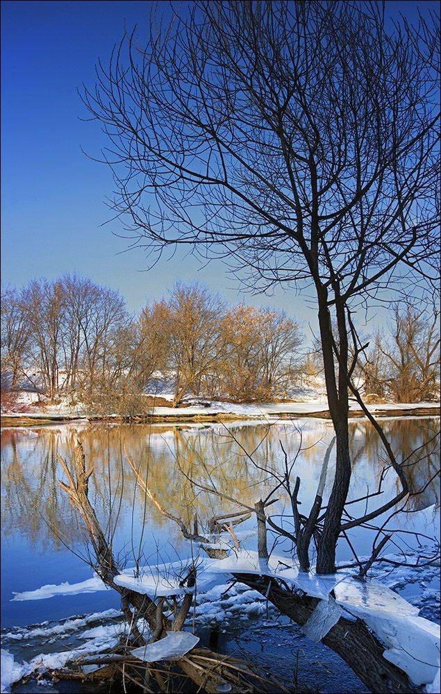 звенигород, москва-река, Тарасов Алексей