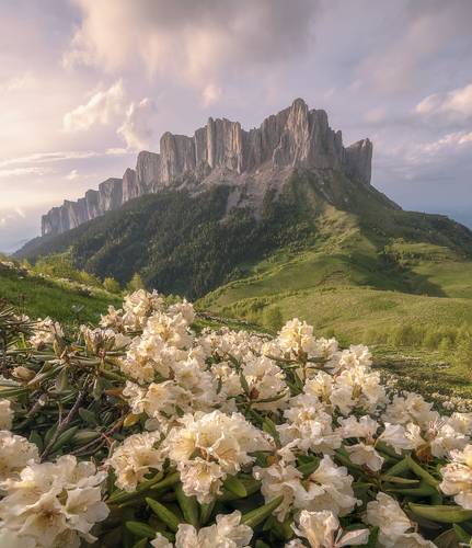 Большой Тхач