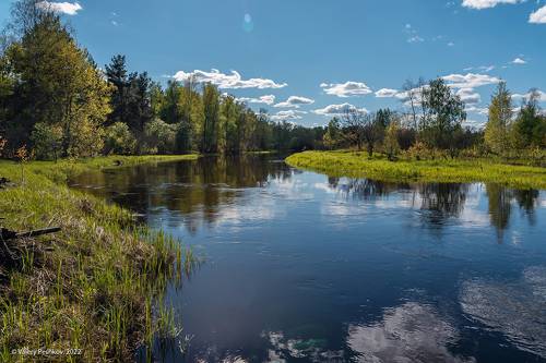Pro динамику Мещёрской весны