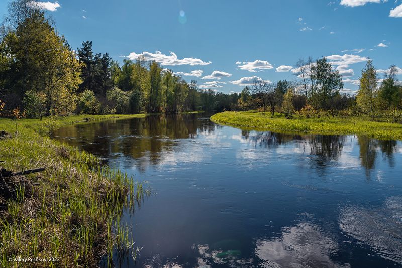 весна, весенняя река, разлив, отражения, графика крон, старица, первая зелень, мещёра, рязанская область. Pro динамику Мещёрской весны фото превью