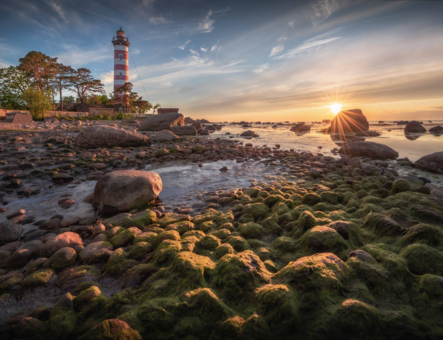 финский, залив, Андрей Грачев