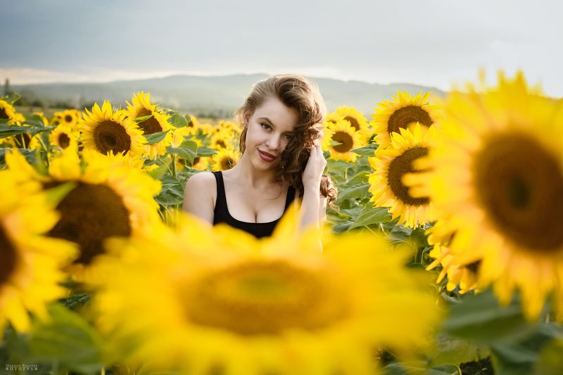 девушка, природа, солнце, подсолнухи, кубань Солнце и подсолнухи фото превью