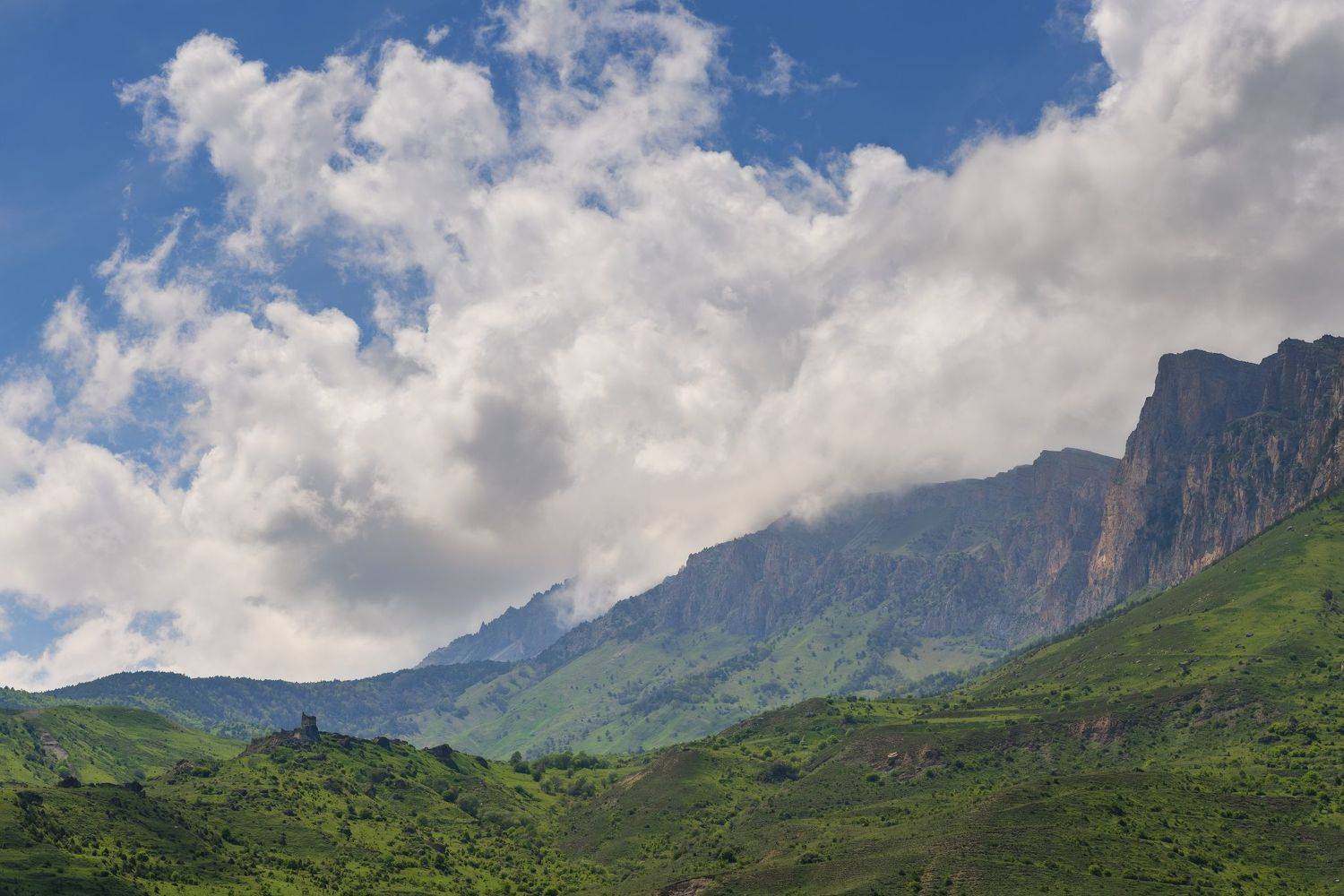 , Юлия Мальцева