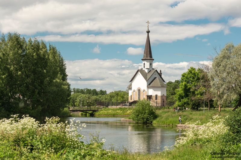 Летний Пулковский парк фото превью