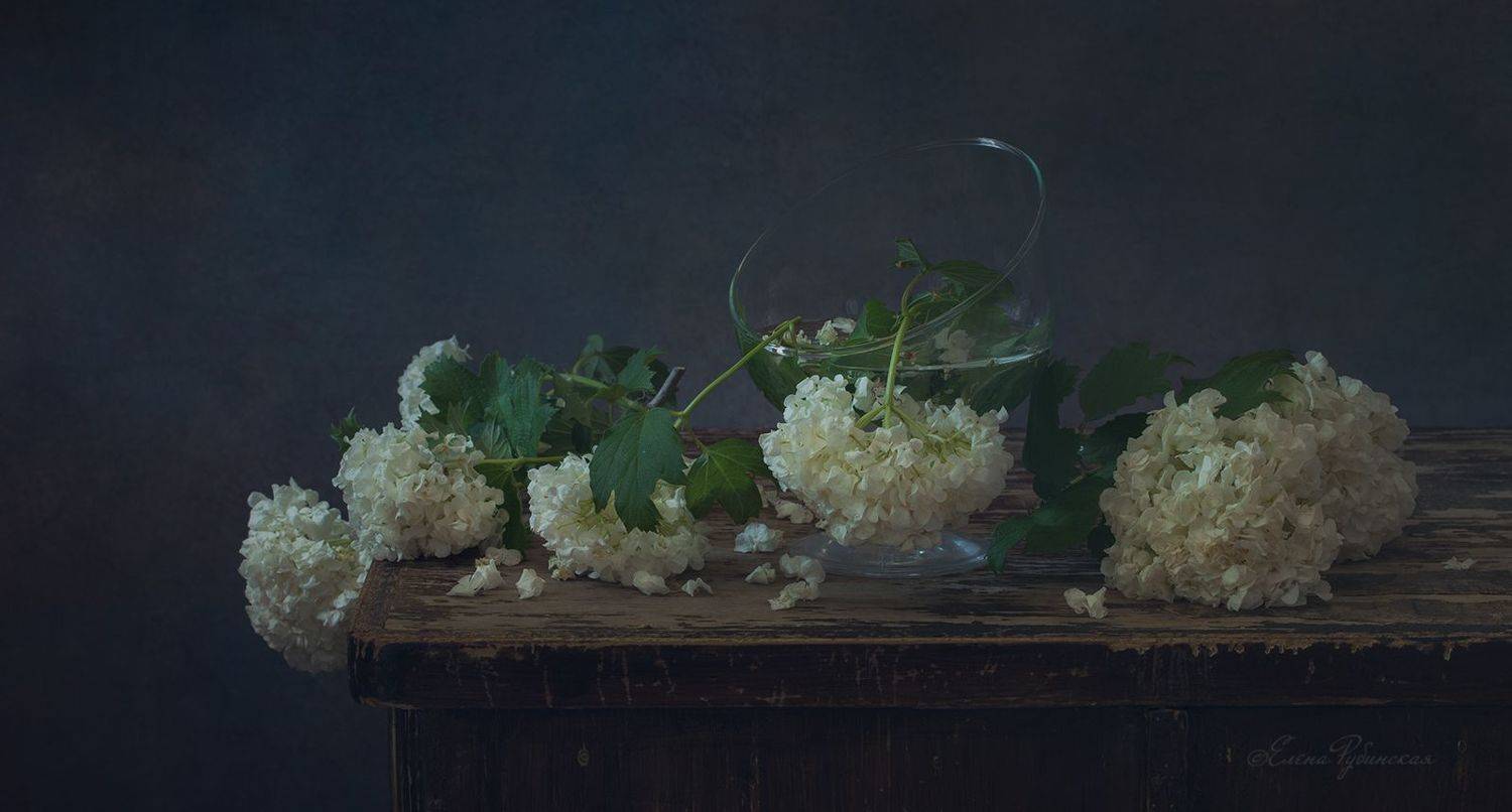 , Елена Рубинская