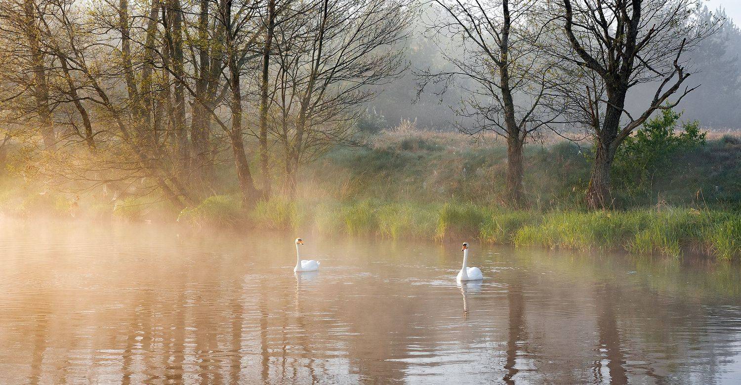 , Руслан Авдевич