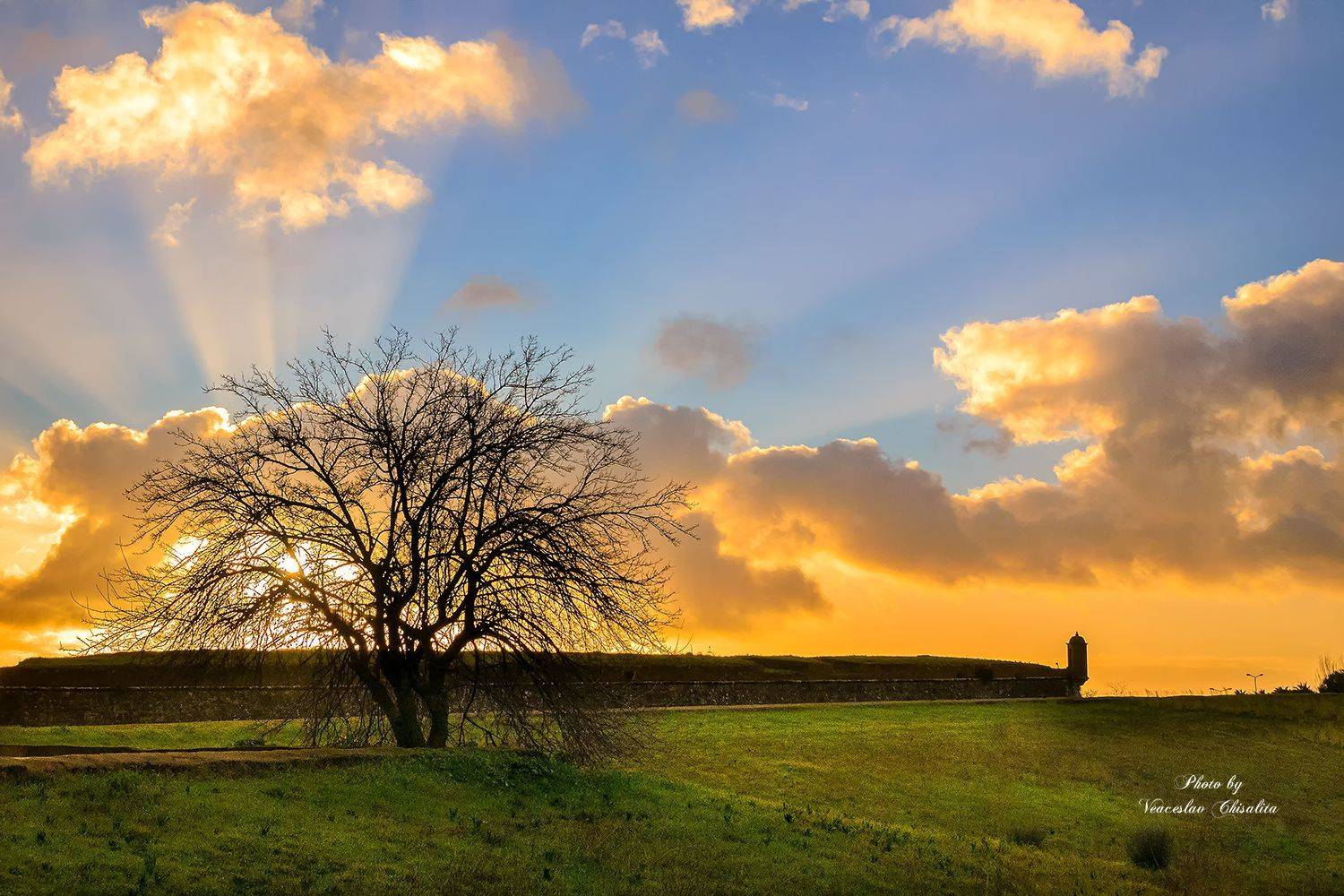 пейзаж, Veaceslav Chisalita