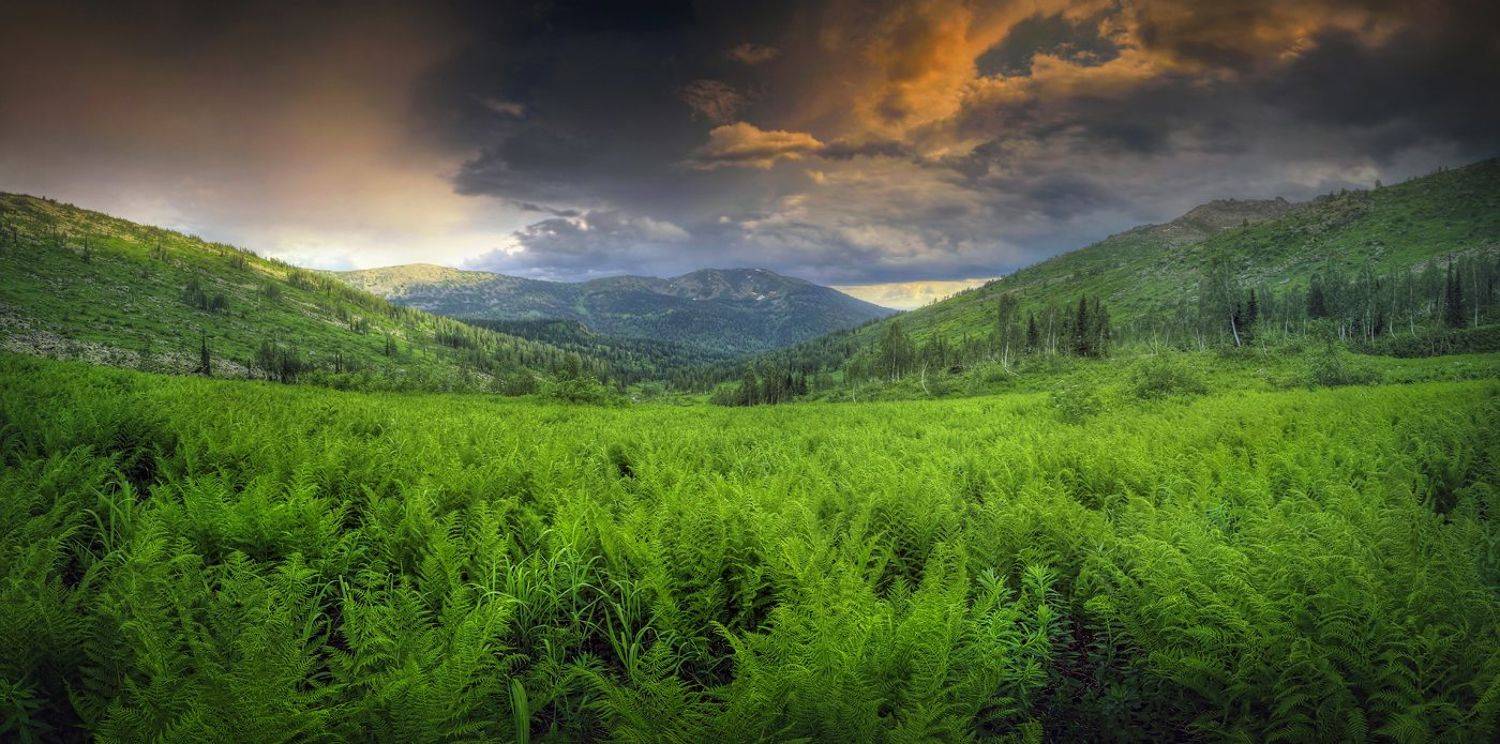 панорама, туризм, поход, горы, Кузнецкий Алатау, Хакасия, Малый Казыр, Александр Бархатов