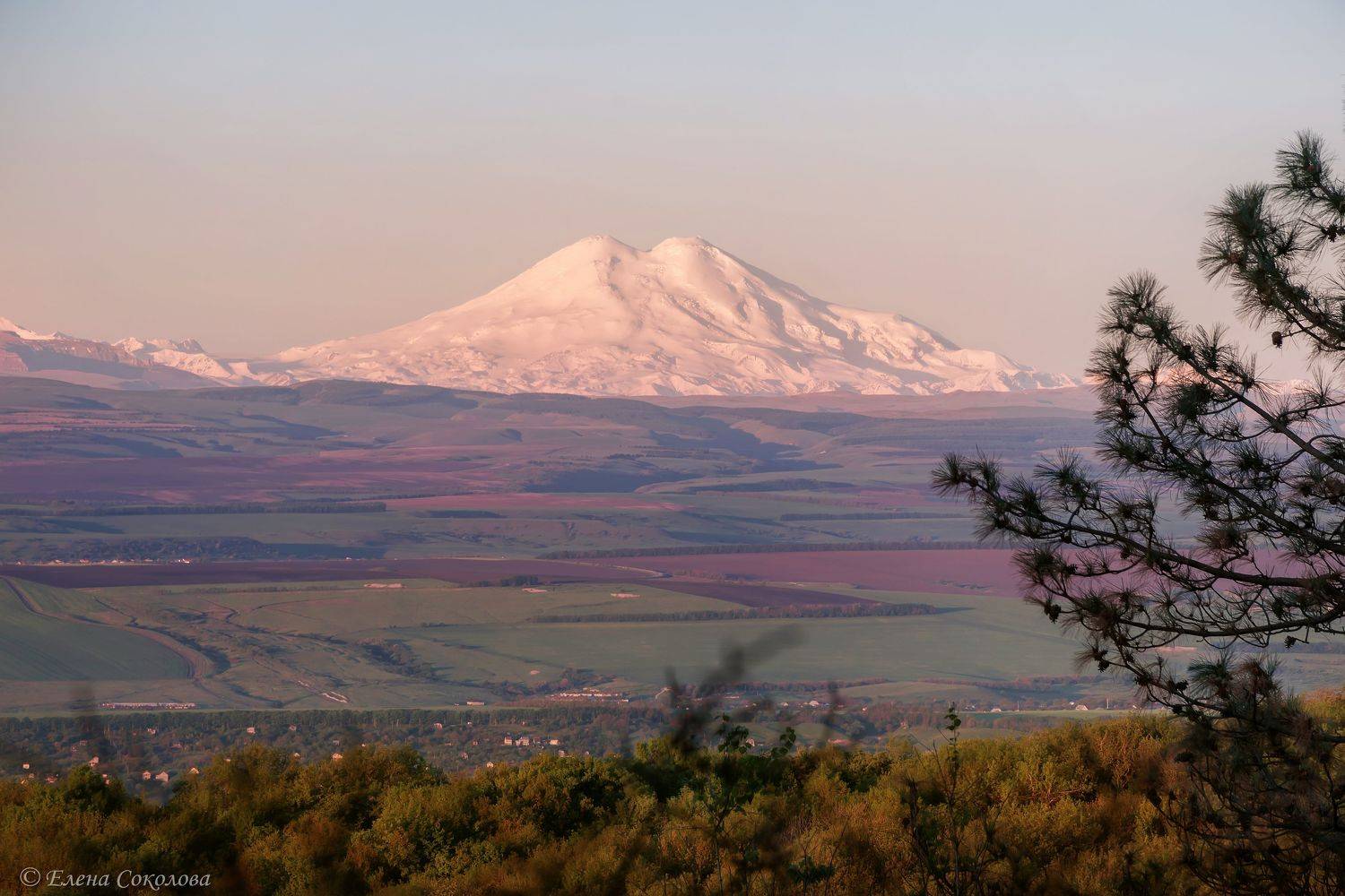эльбрус, гора, пейзаж, утро, рассвет, весна, пятигорск, Соколова Елена