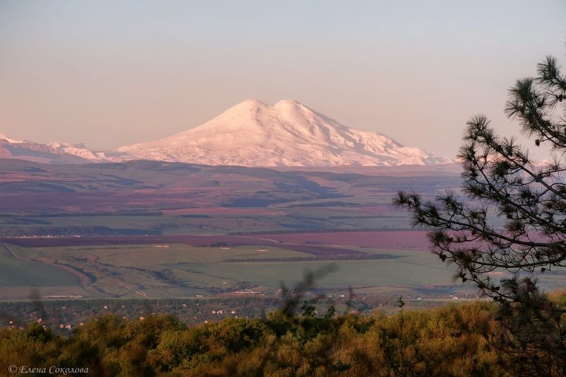 эльбрус, гора, пейзаж, утро, рассвет, весна, пятигорск Эльбрус на рассвете фото превью