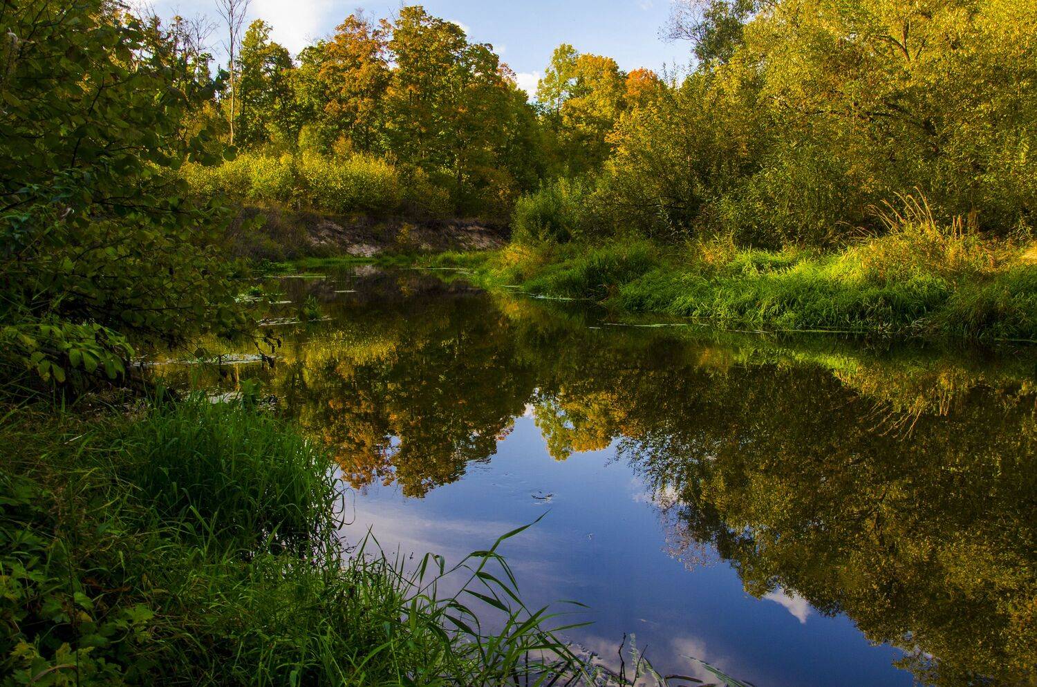 nevant60, пейзаж, красота, природа, Александр Березуцкий