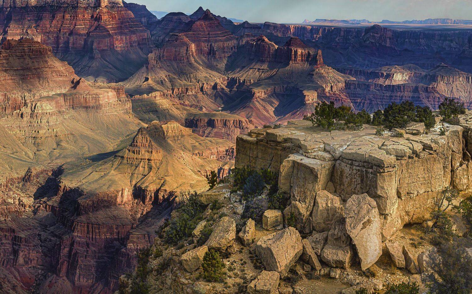 , Шварцман Евгений