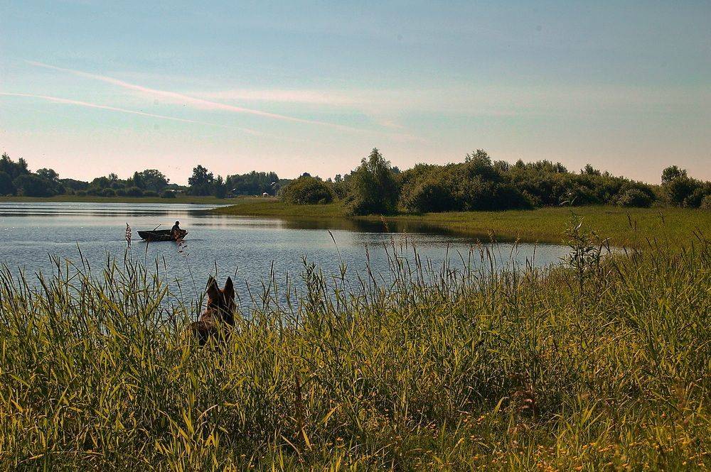 , Николаев Владимир