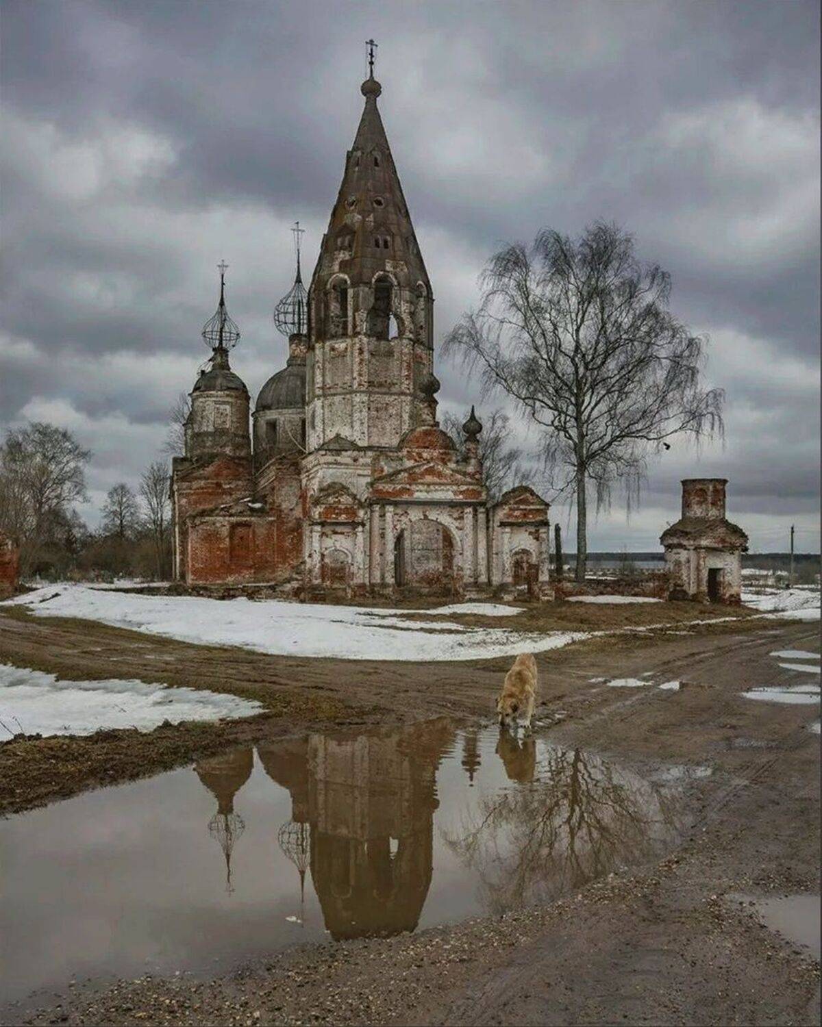 , Петр Косых