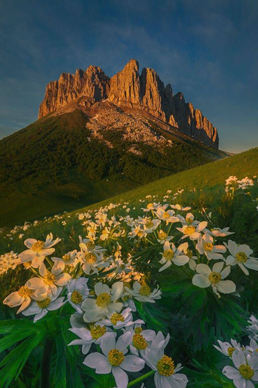 , Андрей Ершов