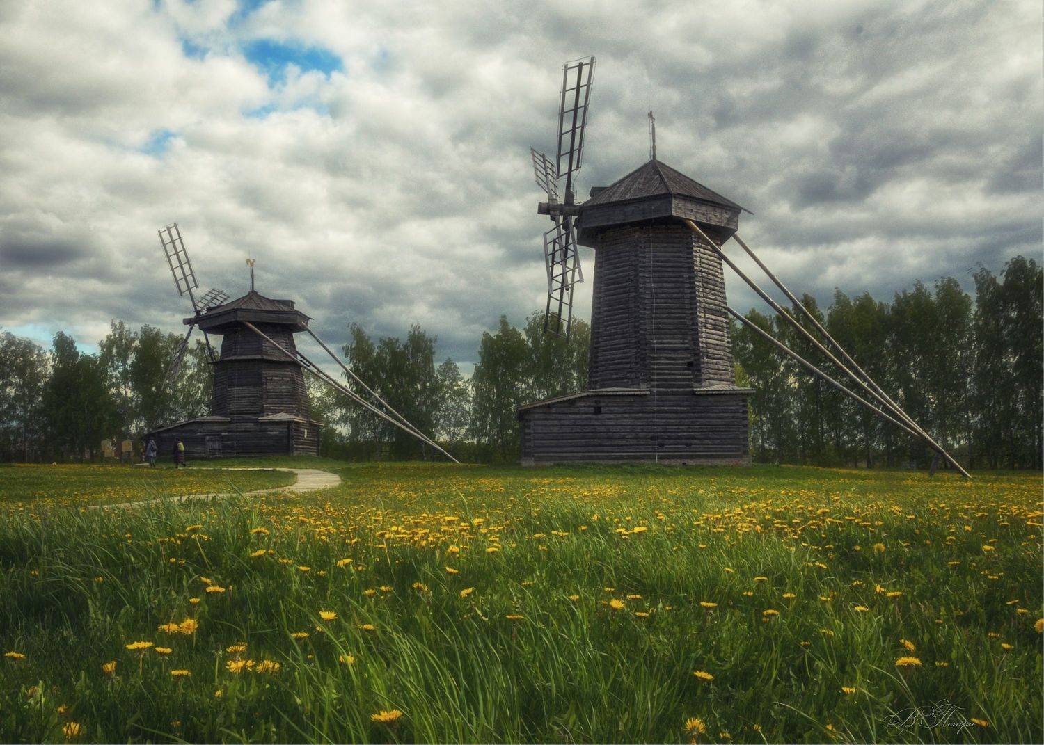 мельницы трава цветы тропинка, Вера Петри