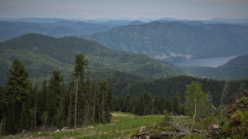 природа,алтай,озеротелецкое,алтайскиегоры Телецкое озеро среди гор Алтая фото превью