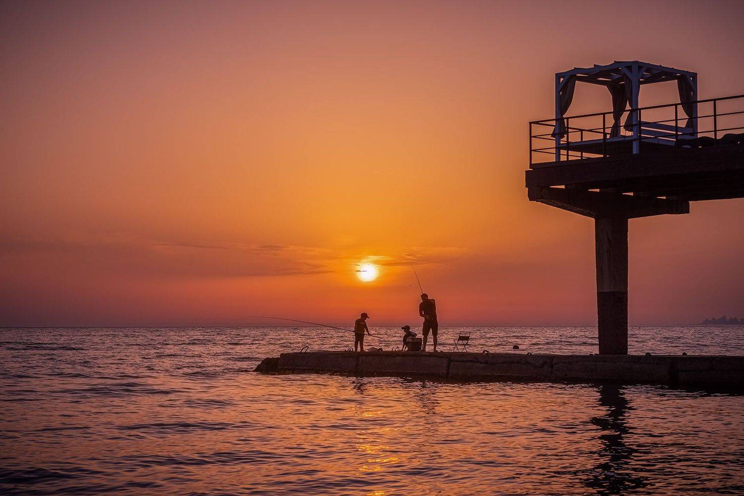 , Елена Маковоз