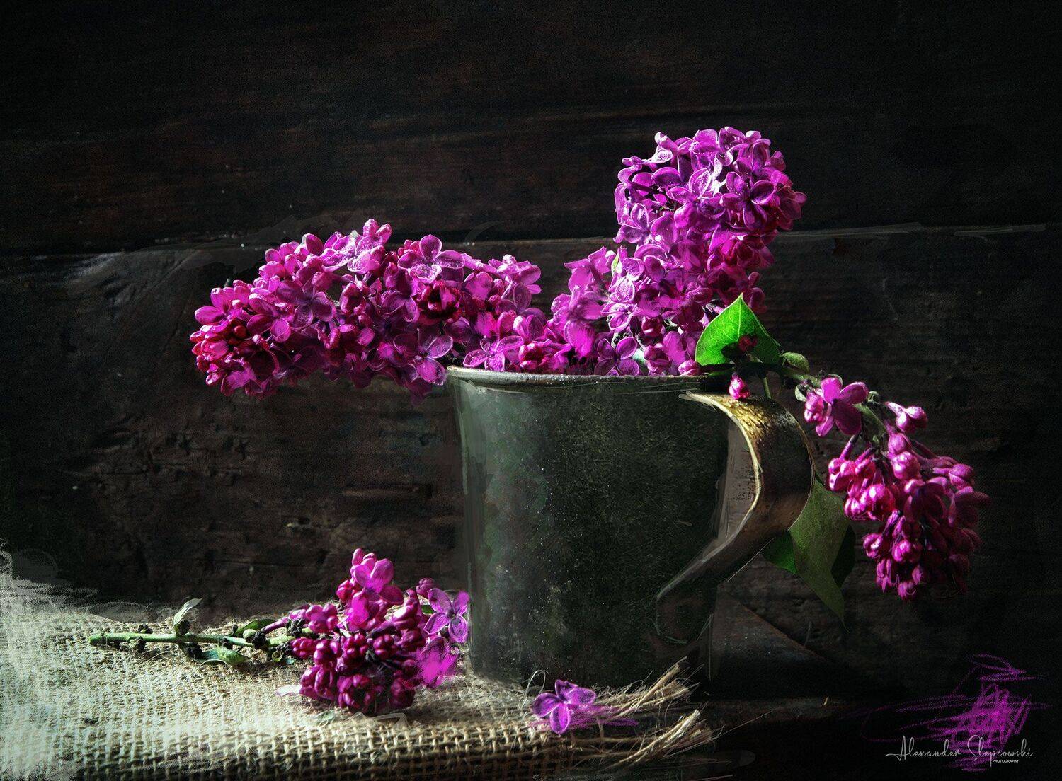 сирень, Alexander Slepcowski