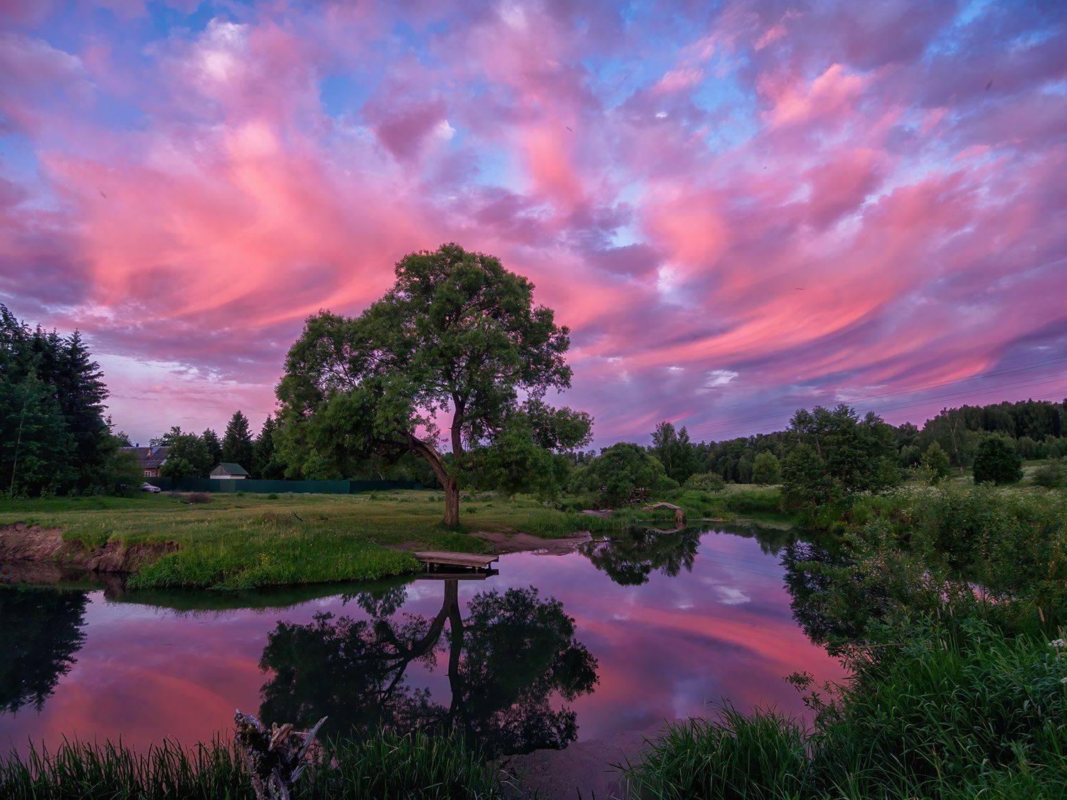 , Владимир Перепечаев