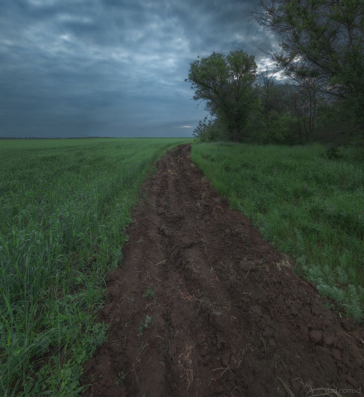 ... фото превью