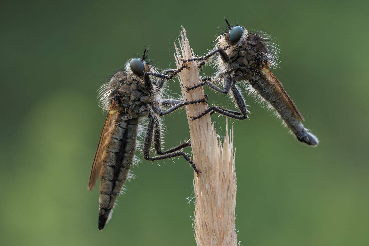 , Роман Зайцев