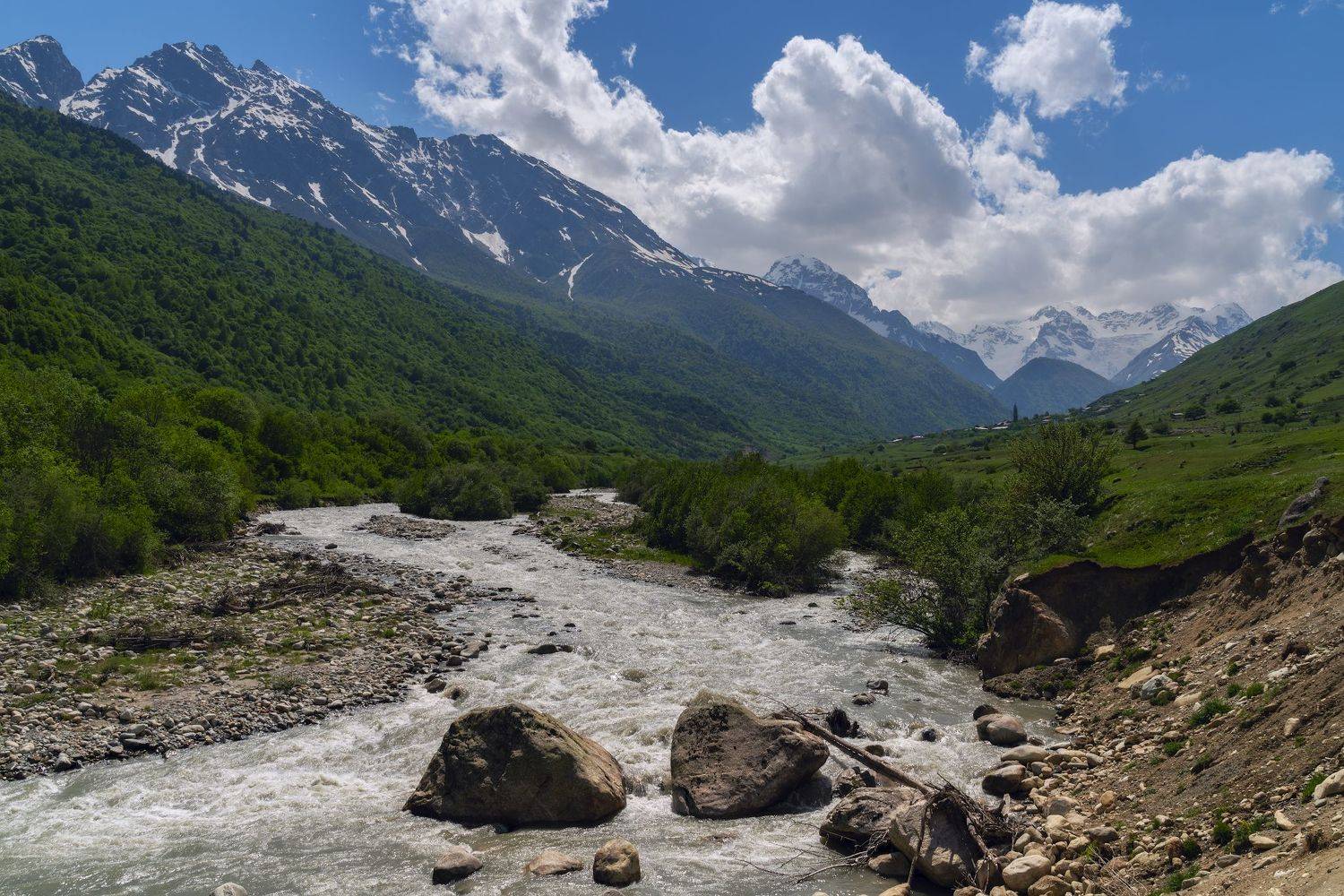 , Юлия Мальцева