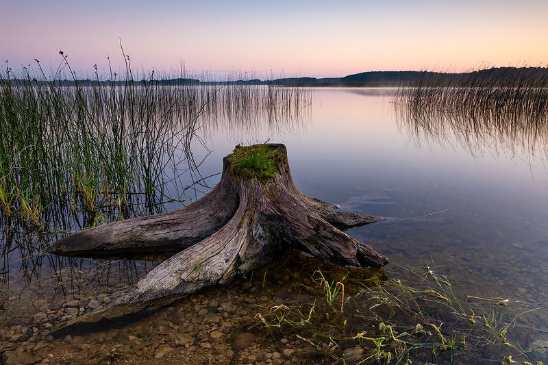 Мечта рыбака. фото превью