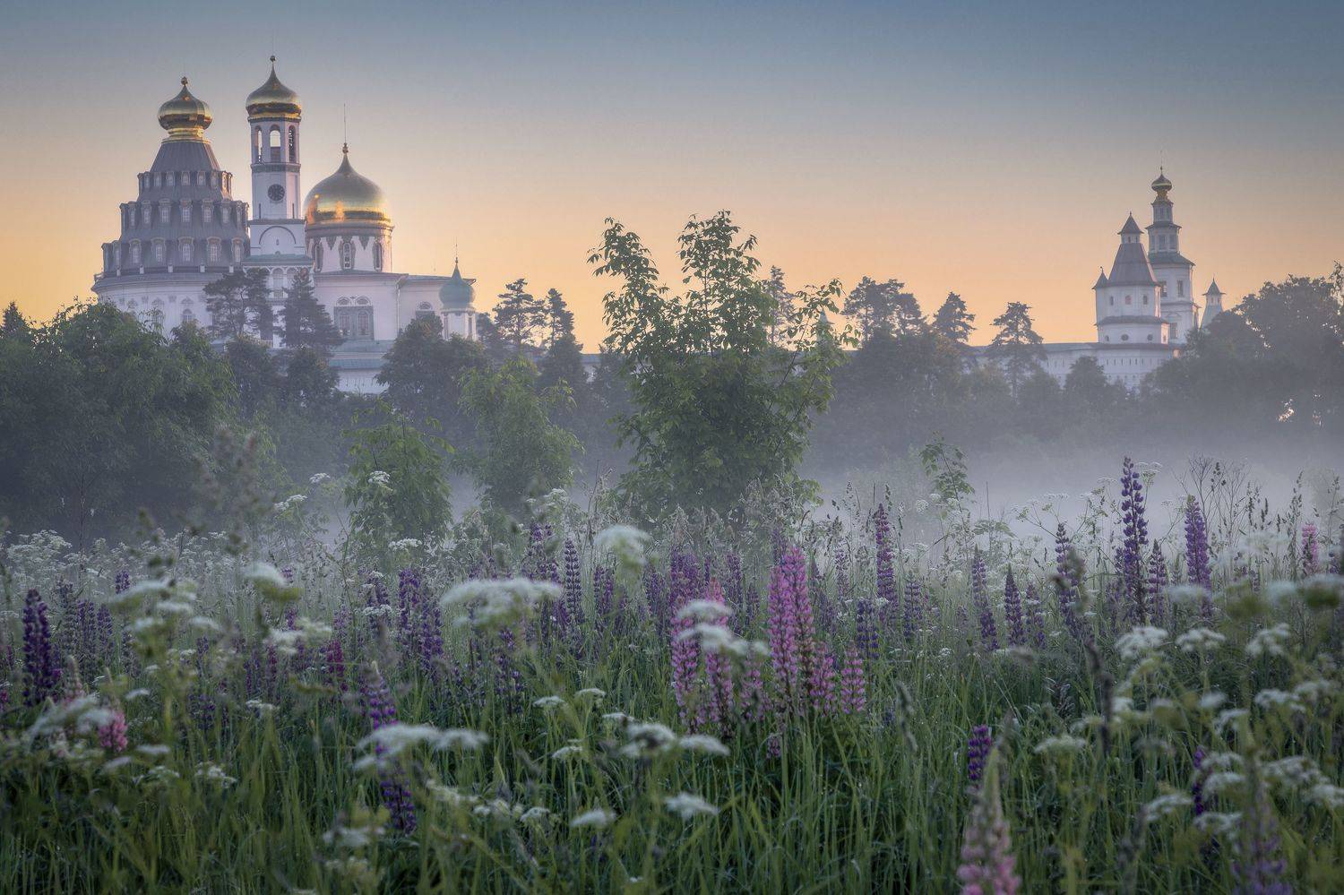 Истра, Гусева Елена