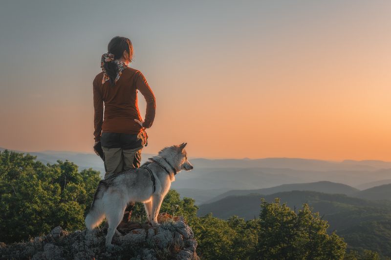 наша дружная семья  фото превью