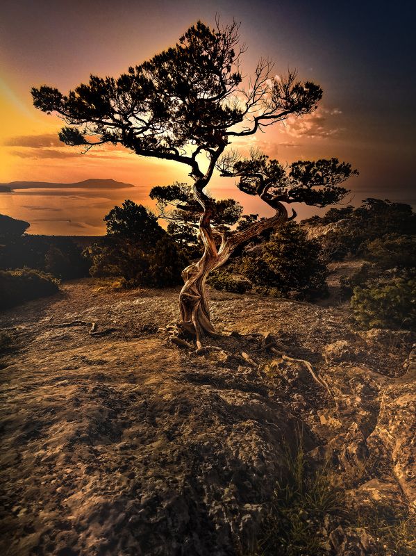 Один на пике Космос фото превью