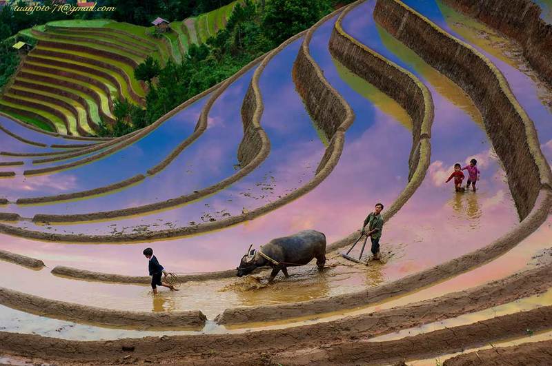 Mu Cang Chai - Viet Nam фото превью