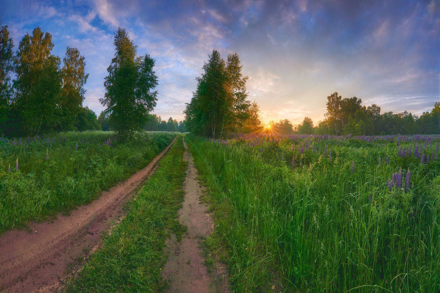 , Konstantin Voronov