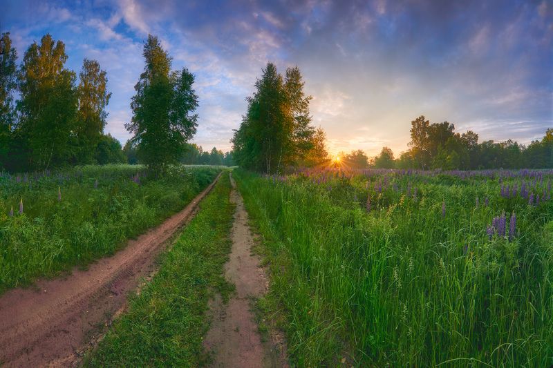 Дорога домой фото превью