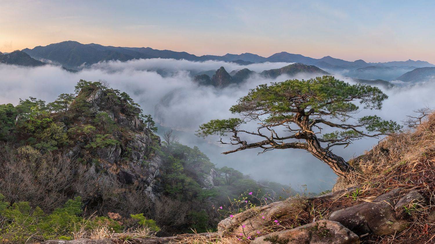 , Jaeyoun Ryu