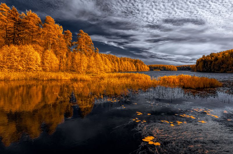 Слушая осень фото превью