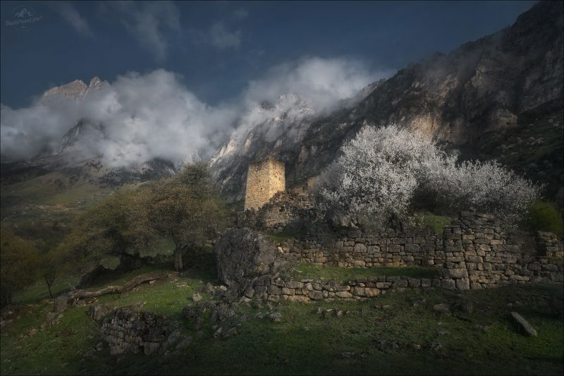 ингушетия, джейрах, башенные комплексы, гайкомд, цейлом, цей-лоам, цей-лом, заповедник эрзи, фототур в ингушетию, кели, Страна башен и легенд фото превью