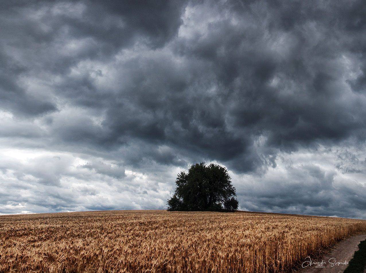 буря, небо, Alexander Slepcowski
