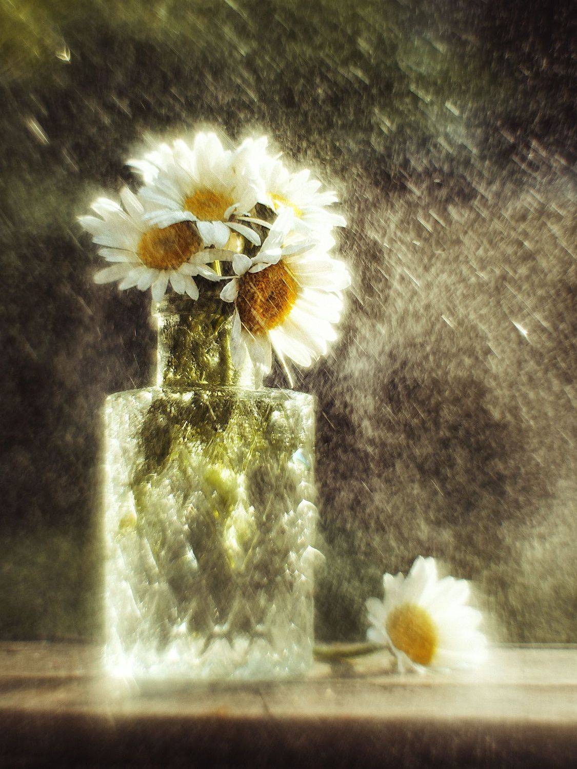 натюрморт, stillife, bokeh, sun, Rogozina Olga