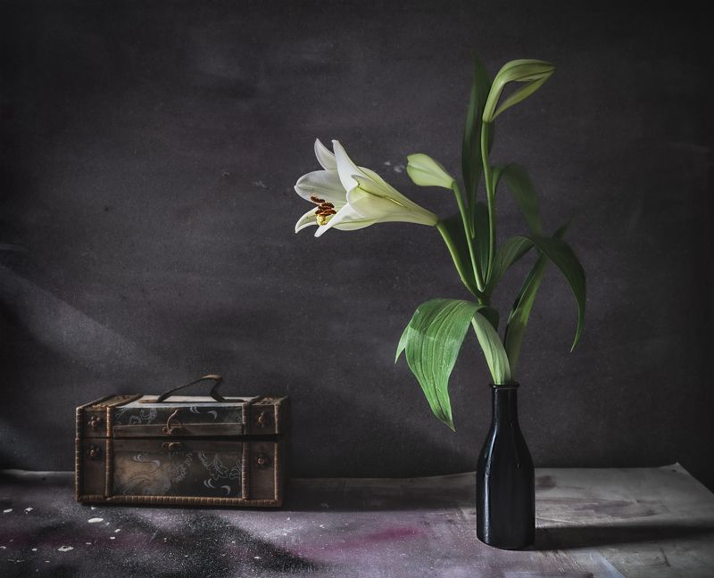 натюрморт цветок лилия старый сундучок дневной свет Mésalliance / Неравный брак фото превью