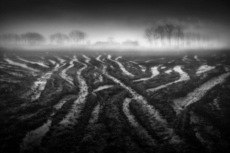 After the Storm фото превью