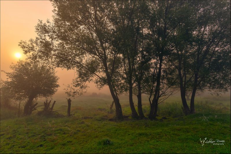 * * * фото превью